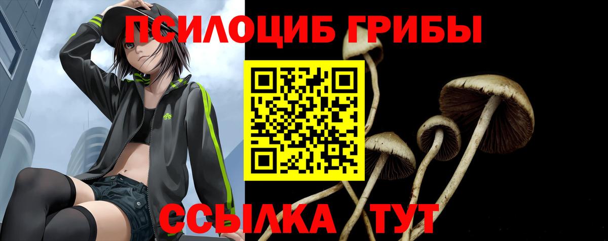 Галлюциногенные грибы Psilocybine cubensis Тимашёвск